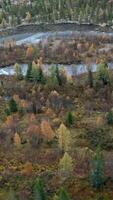 parte superior ver de hermosa río con ramas y bosque. acortar. hermosa paisaje con otoño bosque y río en nublado día. otoño salvaje paisaje de bosque naturaleza video