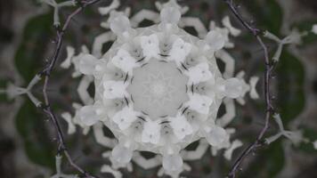 White abstract. Action. Tapering white patterns that then expand back. video