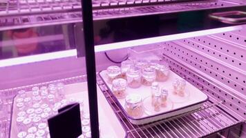 Fridge at the laboratory with empty flasks and green plants. Stock footage. Concept of science. video