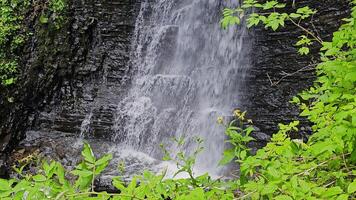Waterfall Flowing Over Rocks with Green Foliage, A beautiful waterfall cascading over dark rocks, surrounded by lush green foliage. The water flows down in a powerful stream video