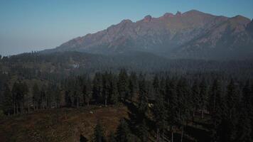 An aerial view of a mountain range with trees in the foreground video
