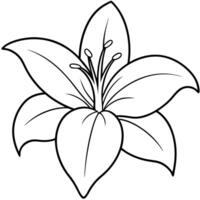 Lily Pattern Line Art Silhouette Design vector