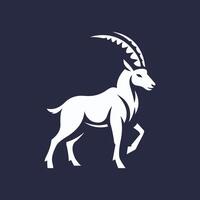 the goat is standing on a dark background vector
