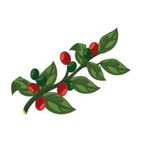 A branch with red and green berries on it vector