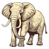 An elephant is standing in front of a white background vector