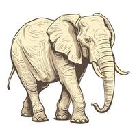 An elephant is standing in front of a white background vector