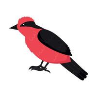 A red bird with black feathers on a white background vector