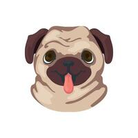 A pug dog with its tongue out on a white background vector