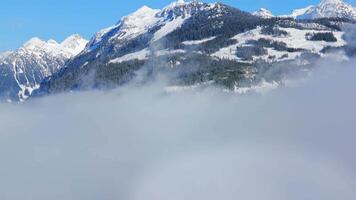 Aerial view of green trees with fog on the mountain slopes. video