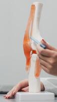 orthopédique spécialiste analyses imagerie résultats dans une moderne bureau, en utilisant une portable et le genou mixte modèle pour détaillé évaluation. vitrines Avancée orthopédique Diagnostique et consultation.vertical coup video