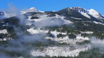 Aerial view of green trees with fog on the mountain slopes. video