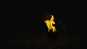 Mysterious Fire Torch Burning In Darkness In Nature, Slow Motion, Flame On Ground After Battle video