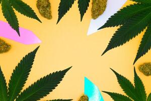 Green fresh cannabis leaves frame and dried flower buds on yellow isolated background with copy space. Marijuana leaf on orange background, Studio Shot, Top view, Tag label. photo