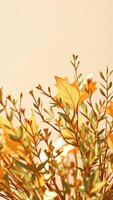 Golden Leaves and Branches Against a Soft Beige Background photo