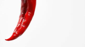 Red Chili Pepper on White Background photo