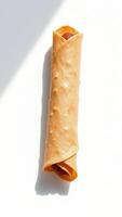 Dog chew toy rolled up in the shape of a hotdog photo