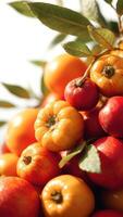Close up of yellow and red ripe tomatoes with green leaves photo