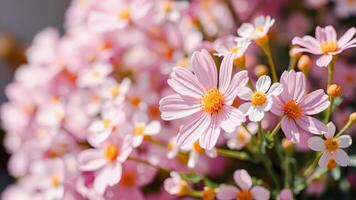 Delicate Pink Flowers photo