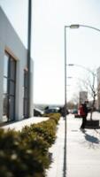 Blurred Street Scene with Green Bushes photo