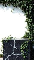 Black Marble Platform With Green Ivy photo