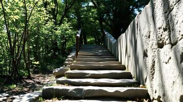 Stone Steps in a Lush Forest photo