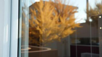 Blurred View Through a Window of a Room with a Light Fixture and a Tree photo