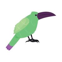 A cartoon green toucan bird with purple beak vector
