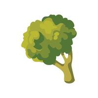 Broccoli tree icon in cartoon style illustration vector