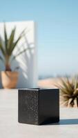 Black Cube on White Surface with Palm Tree in Background photo