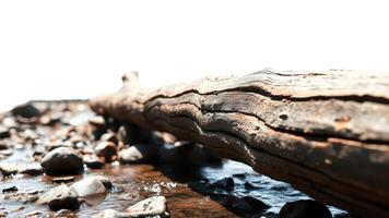 Close Up of a Log Over a Creek photo