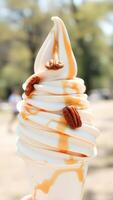 Caramel Swirl Soft Serve Ice Cream with Pecan Toppings photo