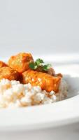 Close-up of chicken curry with rice on a white plate photo