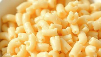 Close Up of Cooked Elbows Macaroni Pasta photo