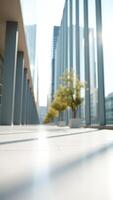 Modern building with glass facade and a patio with a plant photo