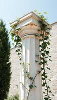 White Column with Greenery photo