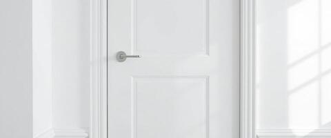 White Door with Silver Handle and Light Filtering Through Window photo