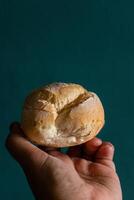 A close-up of a man's hand holding a traditional Alentejano bread roll ,papo-seco, against a muted green background. The image captures the texture and simplicity of Portuguese cuisine. photo