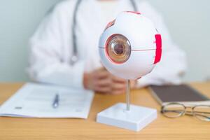 Doctor with human Eye anatomy model with magnifying glass. Eye disease, Refractive Errors, Age Related Macular Degeneration, Cataract, Diabetic Retinopathy, Glaucoma, Amblyopia, Strabismus and Health photo