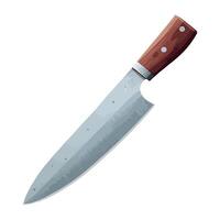 A knife on a white background vector