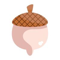 An acorn is shown in a flat style vector
