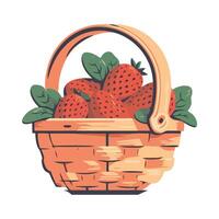 A basket full of strawberries on a white background vector