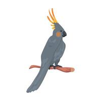 A gray parrot sitting on a branch vector