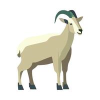 A goat with horns standing on a white background vector