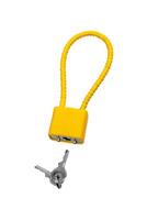 Locks and keys used to safely secure a firearm from being used. Weapon cable lock. photo