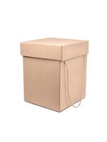 Rectangular cardboard box with rope lid and handles. Closed crown box isolate on a white back photo