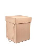 Rectangular cardboard box with rope lid and handles. Closed crown box isolate on a white back photo
