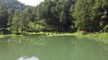 Drone aerial footage of a beautiful artificial lake surrounded by trees video