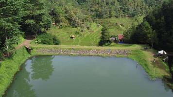 Drone aerial footage of a beautiful artificial lake surrounded by trees video