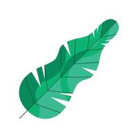 Banana leaf icon illustration vector