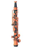 An illustration of a clarinet on a white background vector